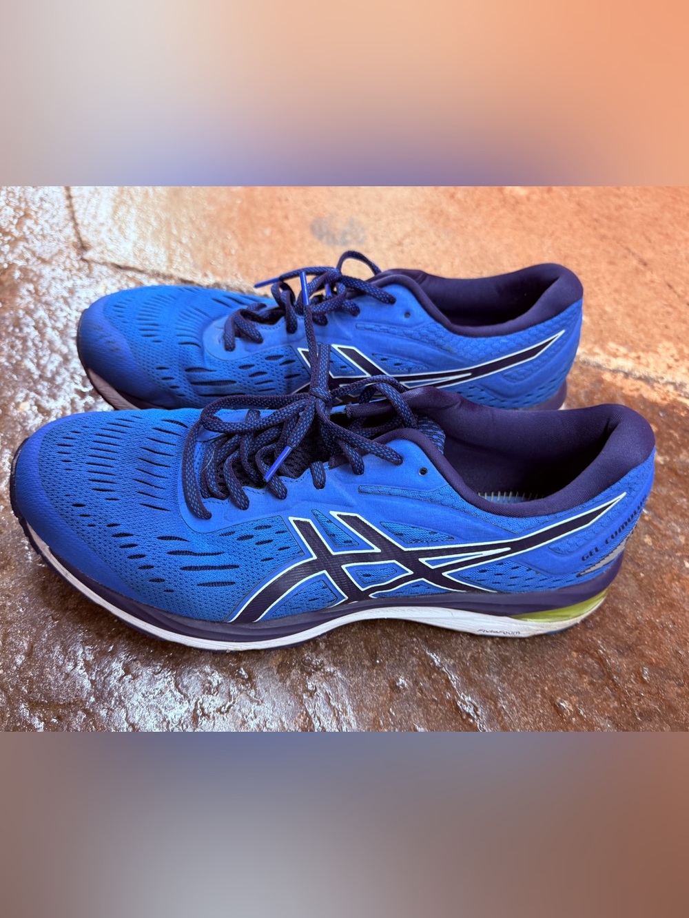 Asics Running Shoes